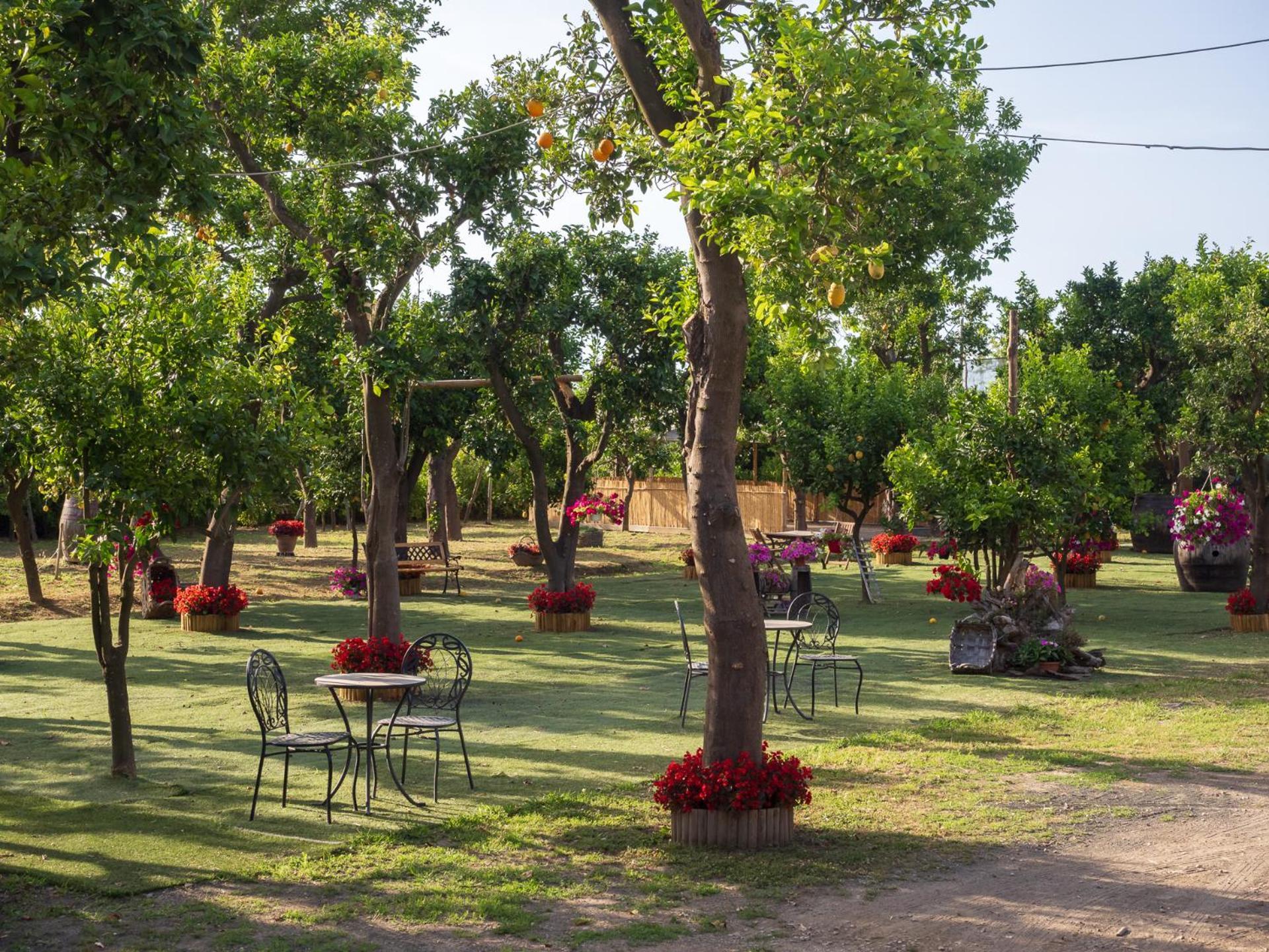 فيلا Giardino Di Nonno Lucio - Surrounded By Lemon Tree بيانو دي سورينتو المظهر الخارجي الصورة