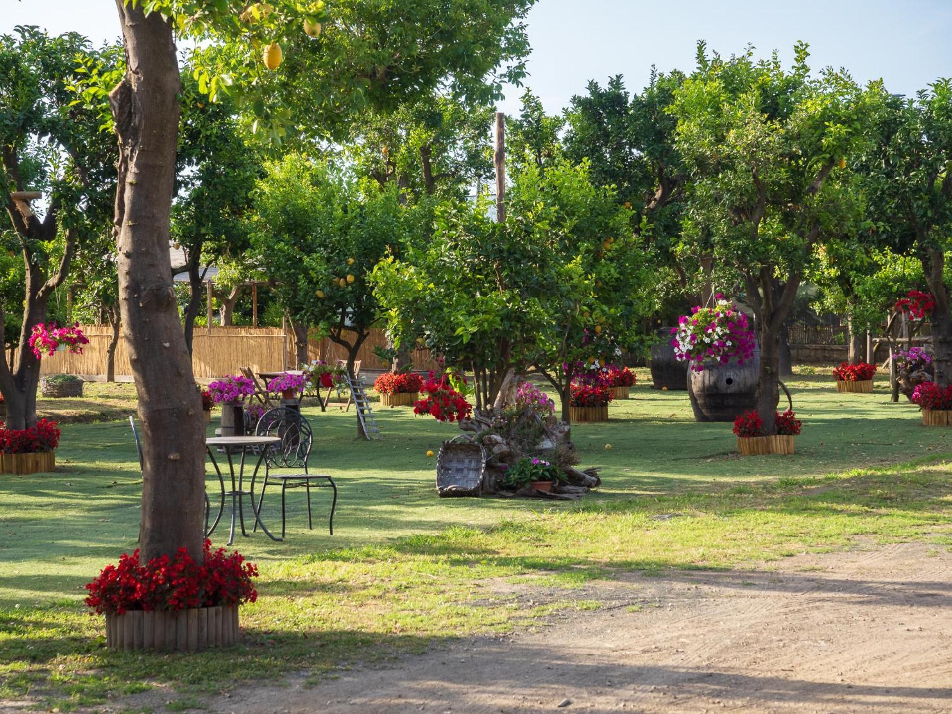 فيلا Giardino Di Nonno Lucio - Surrounded By Lemon Tree بيانو دي سورينتو المظهر الخارجي الصورة