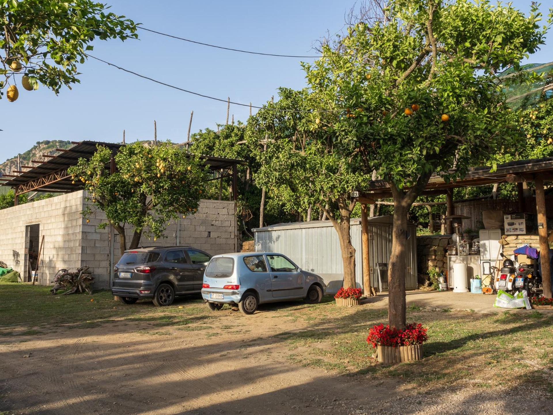 فيلا Giardino Di Nonno Lucio - Surrounded By Lemon Tree بيانو دي سورينتو المظهر الخارجي الصورة