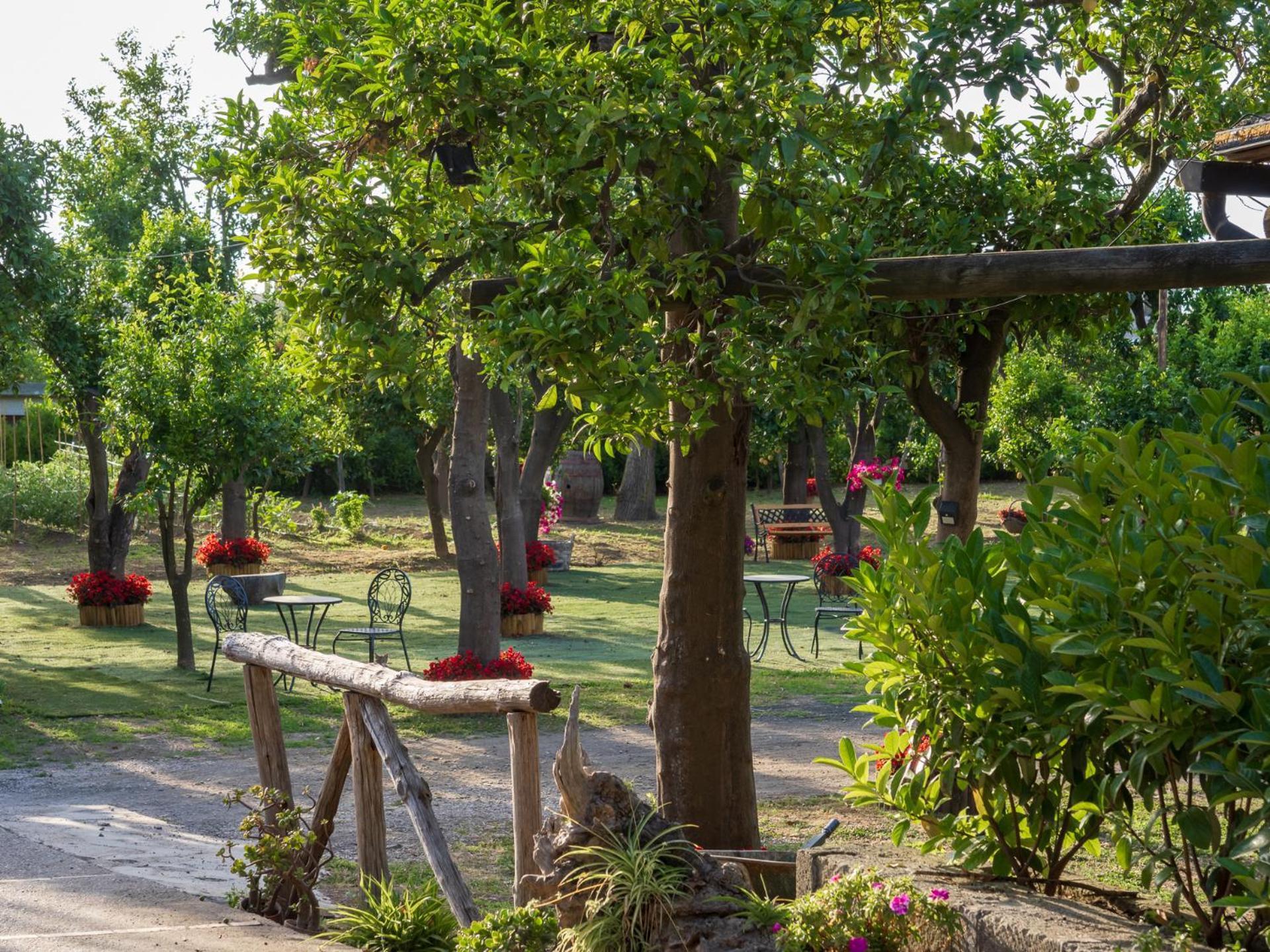 فيلا Giardino Di Nonno Lucio - Surrounded By Lemon Tree بيانو دي سورينتو المظهر الخارجي الصورة
