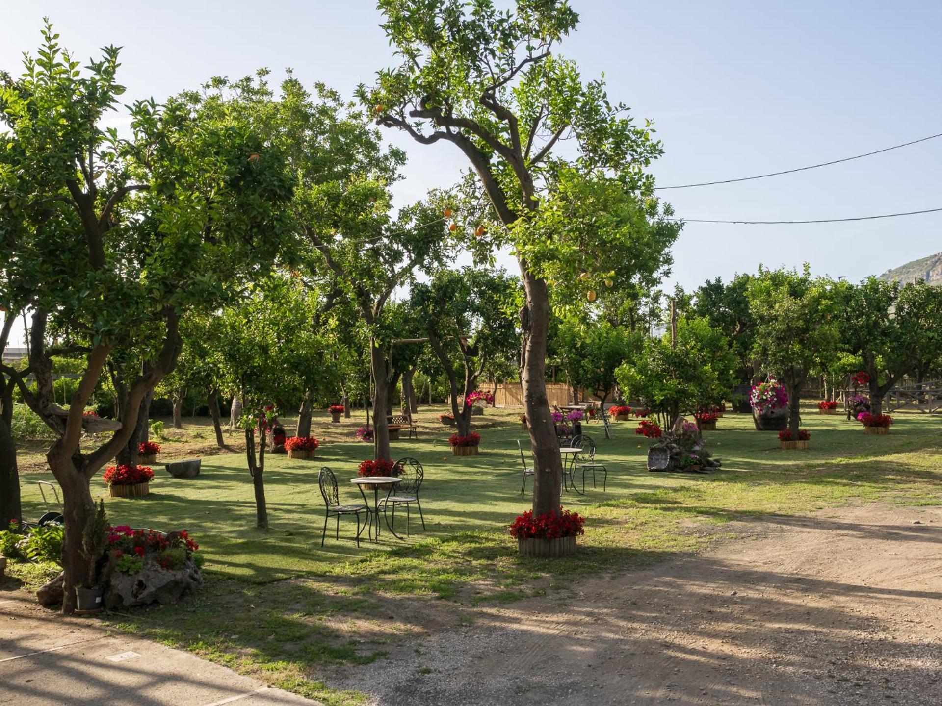 فيلا Giardino Di Nonno Lucio - Surrounded By Lemon Tree بيانو دي سورينتو المظهر الخارجي الصورة