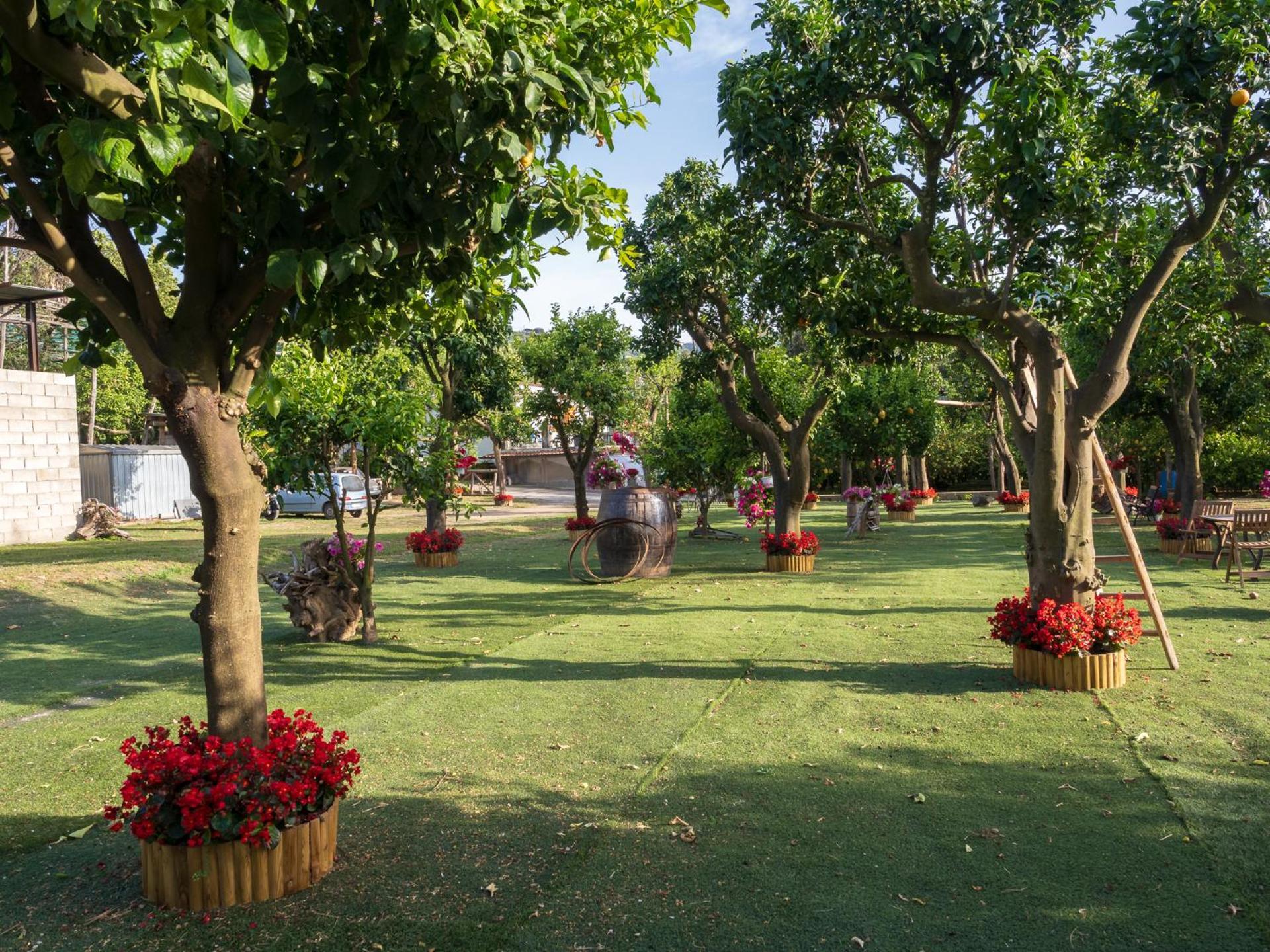 فيلا Giardino Di Nonno Lucio - Surrounded By Lemon Tree بيانو دي سورينتو المظهر الخارجي الصورة