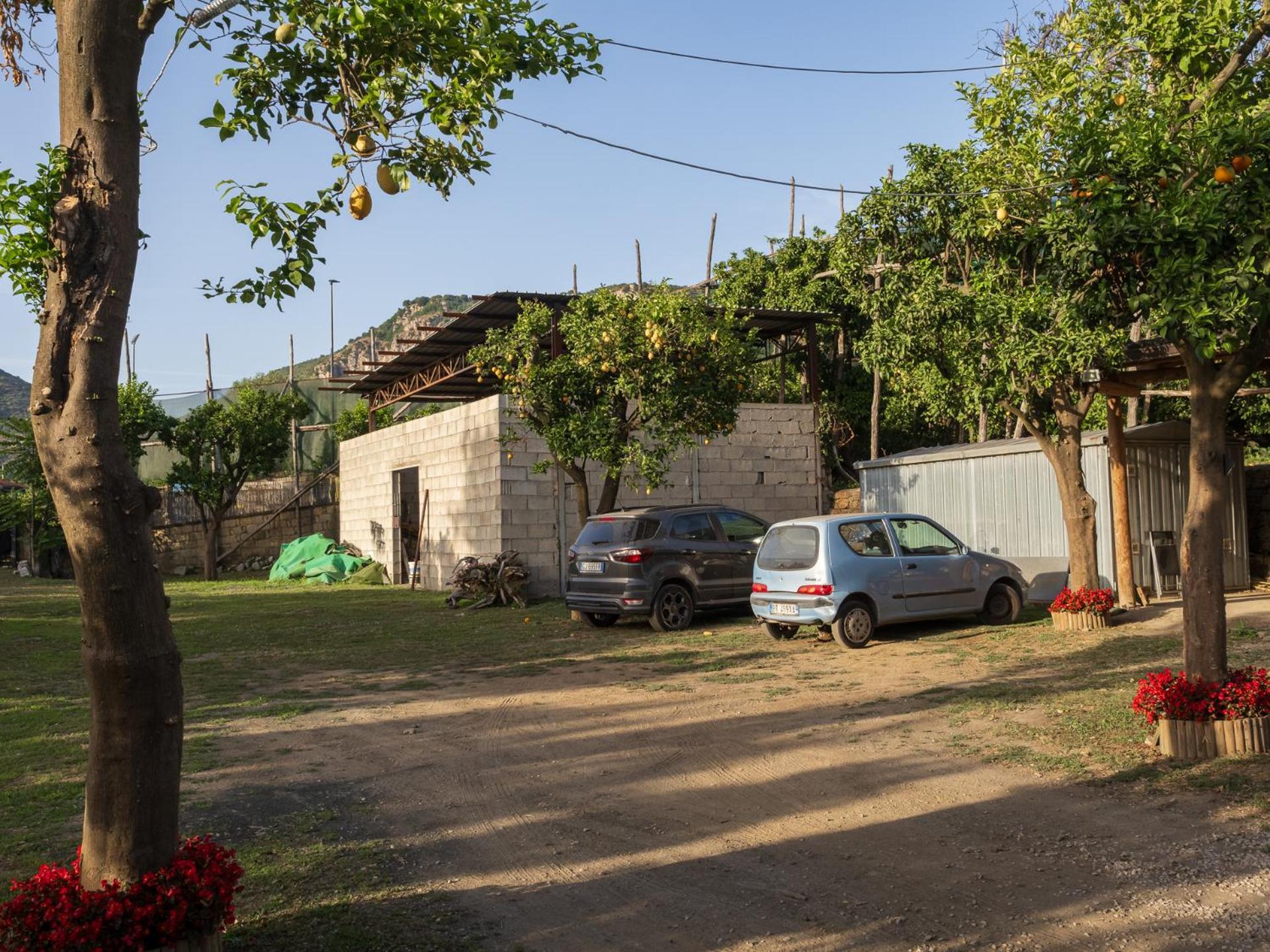 فيلا Giardino Di Nonno Lucio - Surrounded By Lemon Tree بيانو دي سورينتو المظهر الخارجي الصورة