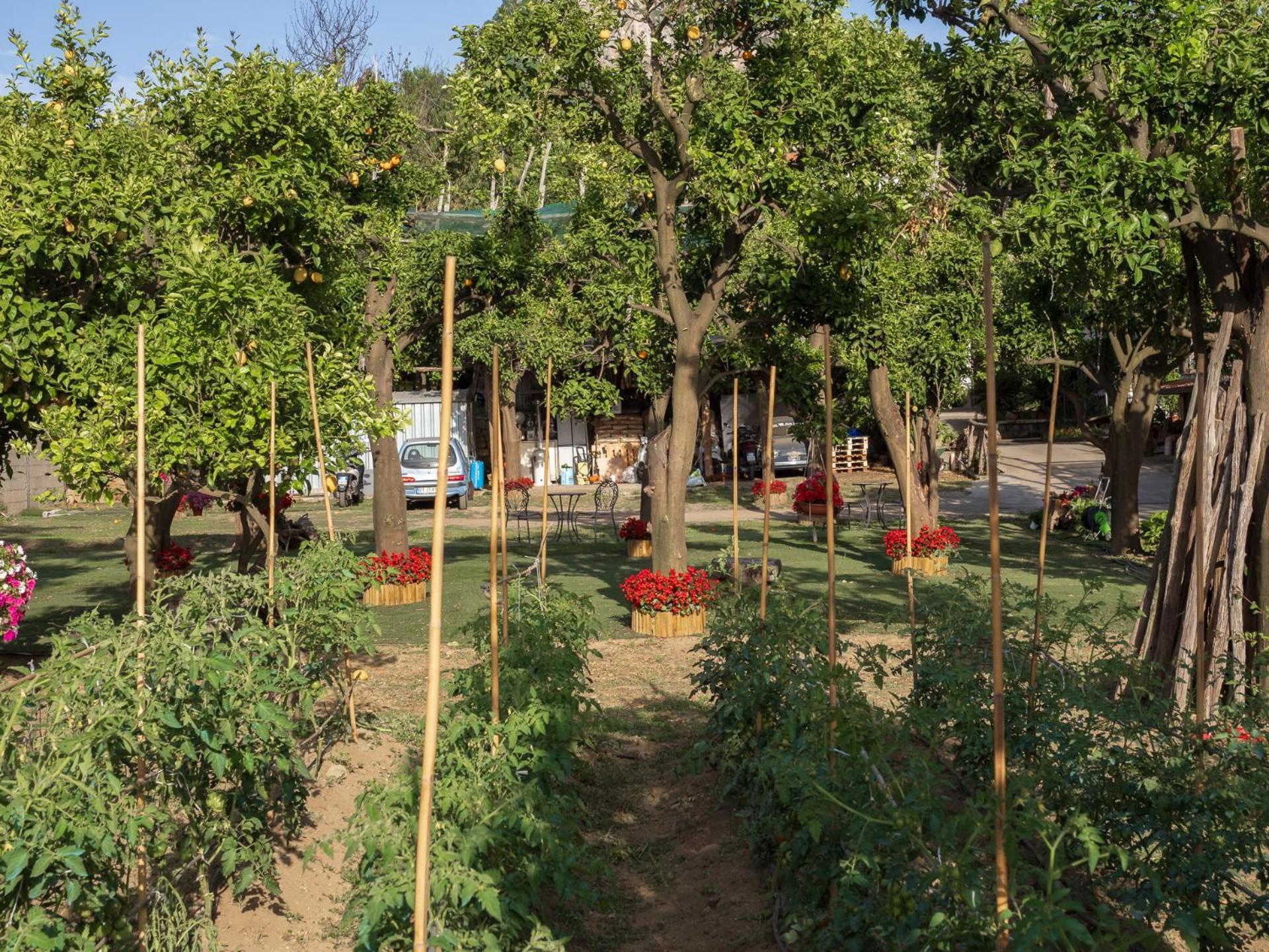 فيلا Giardino Di Nonno Lucio - Surrounded By Lemon Tree بيانو دي سورينتو المظهر الخارجي الصورة