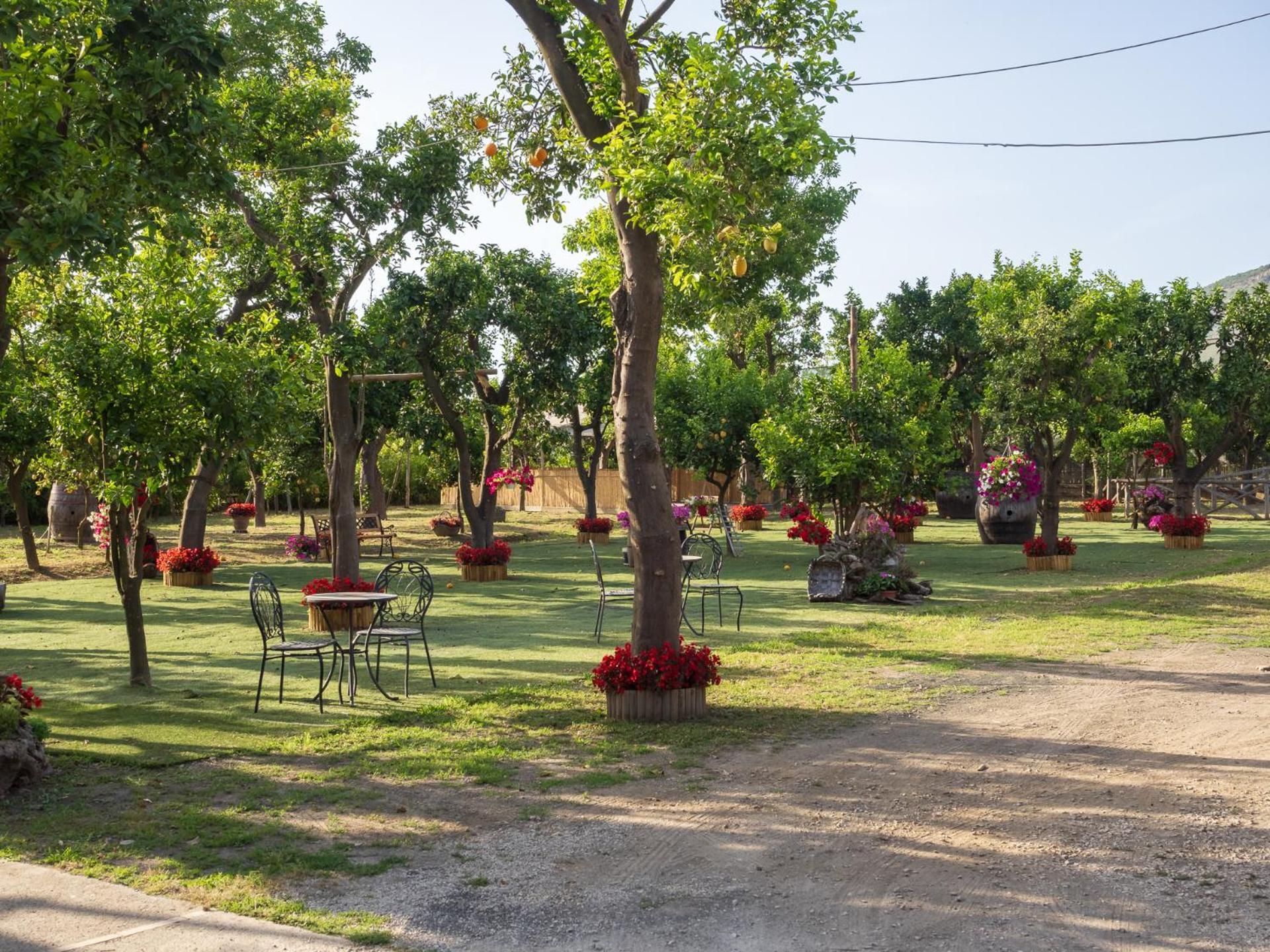 فيلا Giardino Di Nonno Lucio - Surrounded By Lemon Tree بيانو دي سورينتو المظهر الخارجي الصورة