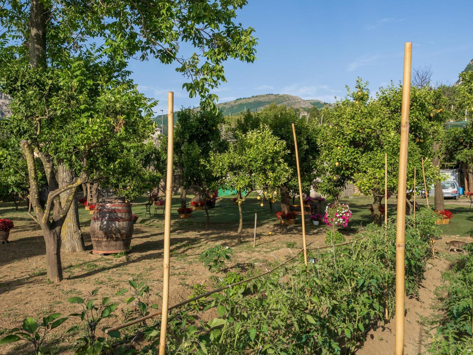 فيلا Giardino Di Nonno Lucio - Surrounded By Lemon Tree بيانو دي سورينتو المظهر الخارجي الصورة