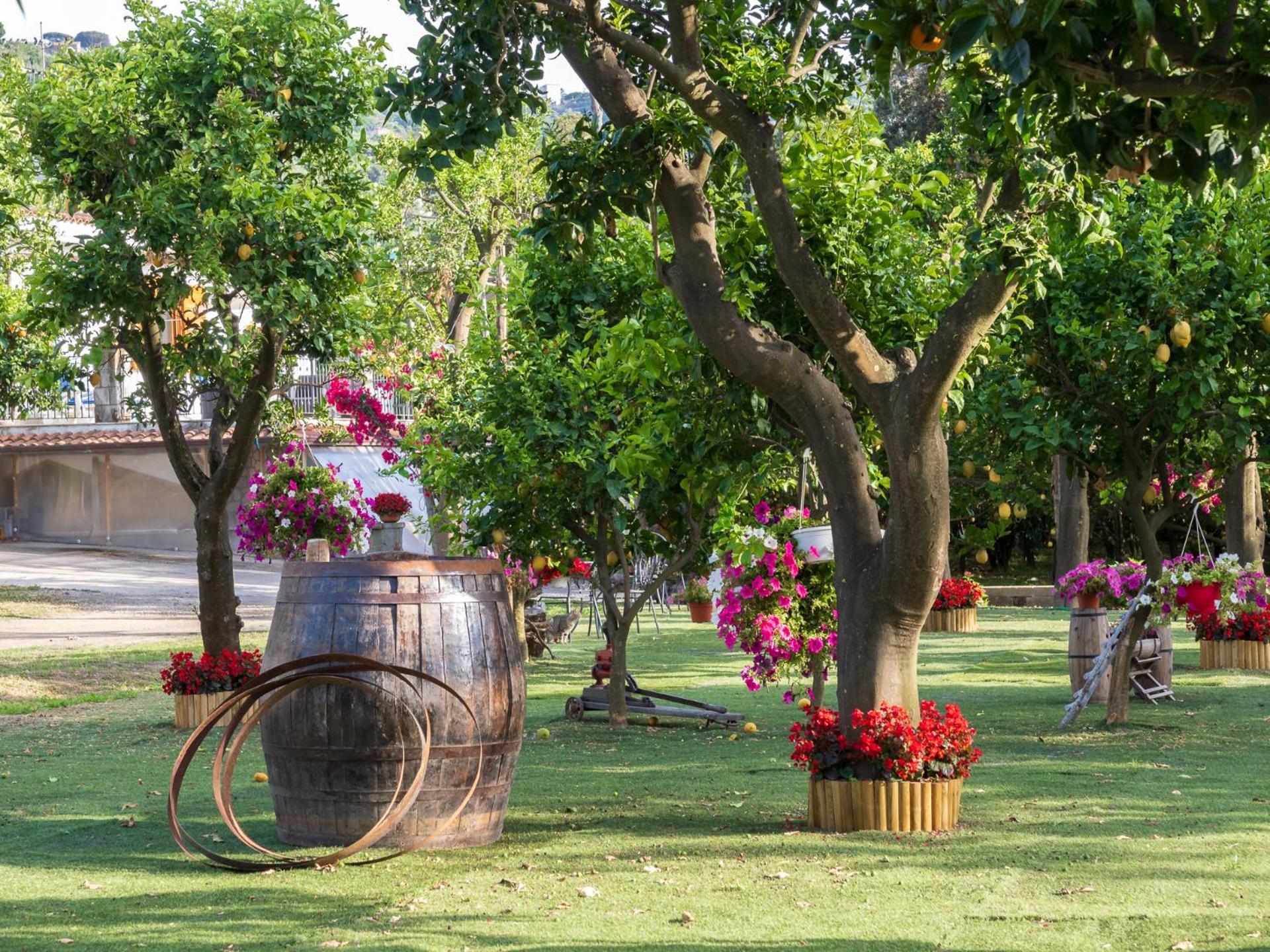 فيلا Giardino Di Nonno Lucio - Surrounded By Lemon Tree بيانو دي سورينتو المظهر الخارجي الصورة