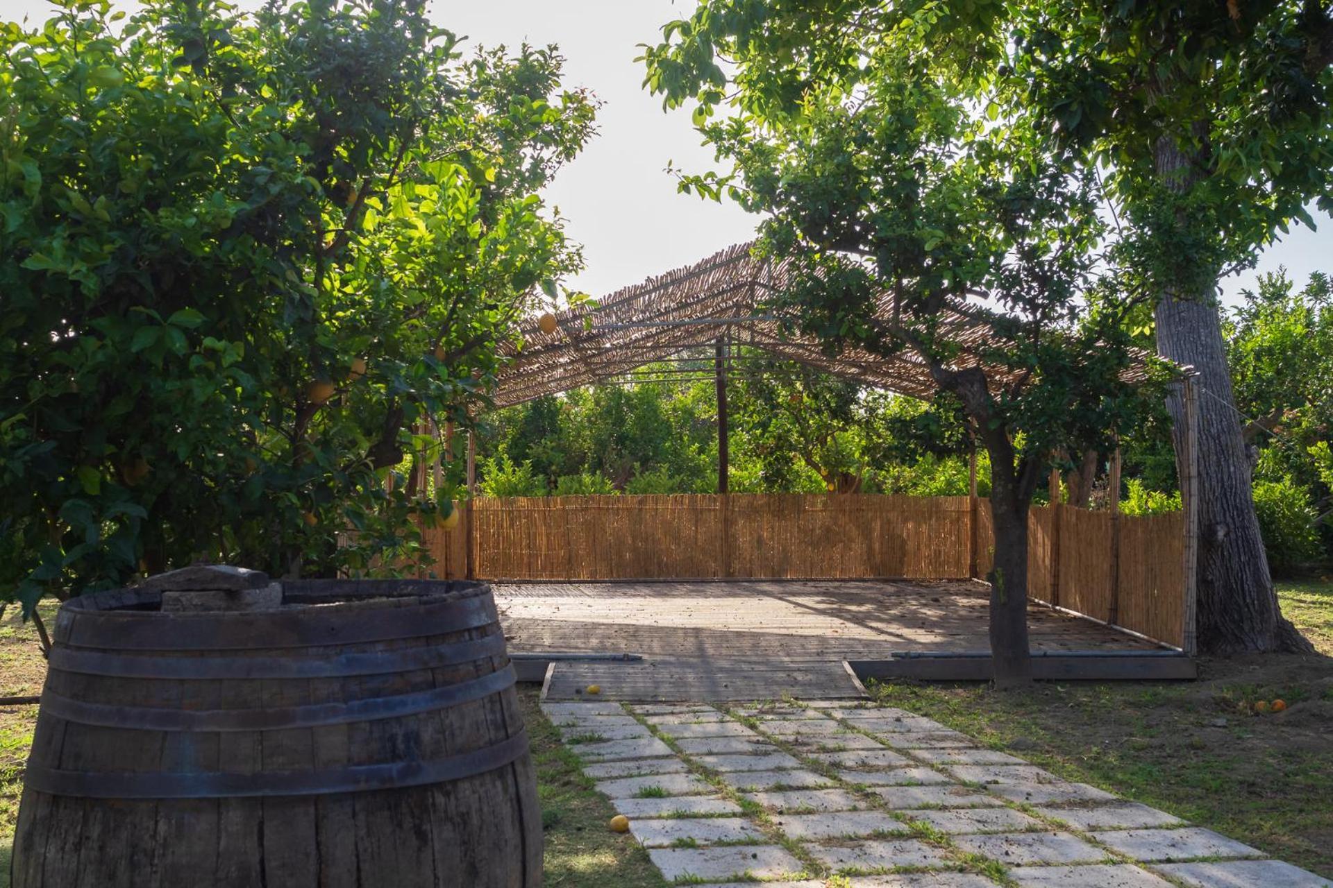 فيلا Giardino Di Nonno Lucio - Surrounded By Lemon Tree بيانو دي سورينتو المظهر الخارجي الصورة