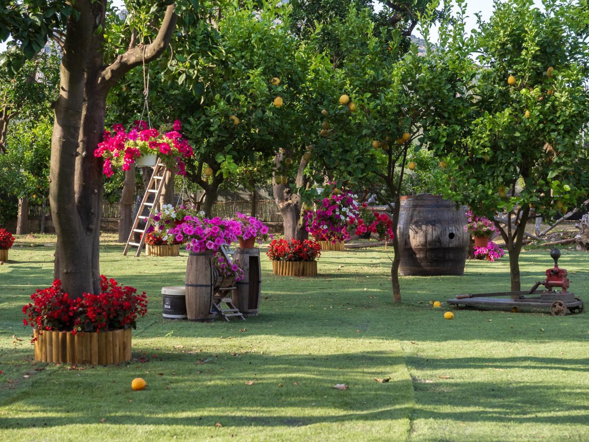 فيلا Giardino Di Nonno Lucio - Surrounded By Lemon Tree بيانو دي سورينتو المظهر الخارجي الصورة