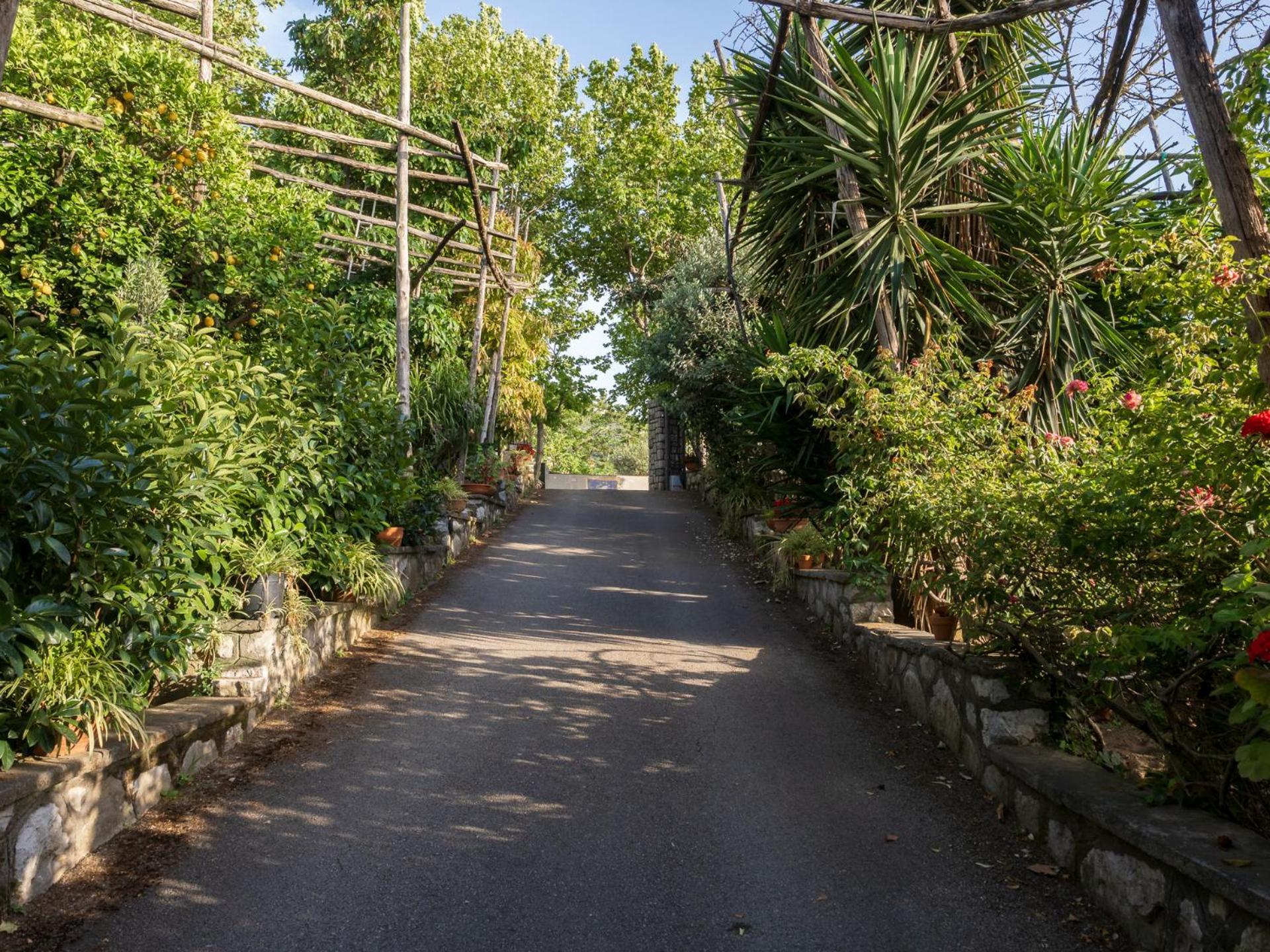 فيلا Giardino Di Nonno Lucio - Surrounded By Lemon Tree بيانو دي سورينتو المظهر الخارجي الصورة