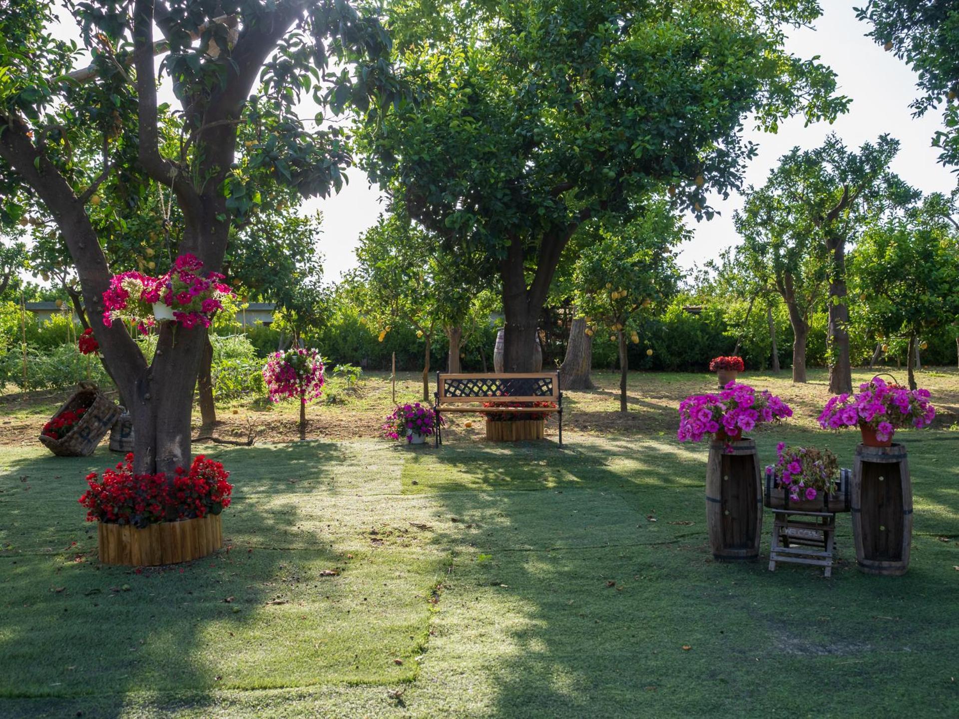 فيلا Giardino Di Nonno Lucio - Surrounded By Lemon Tree بيانو دي سورينتو المظهر الخارجي الصورة